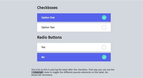 Image result for Checkbox CSS Changes