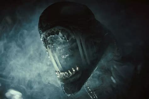 Image result for Alien Romulus Android