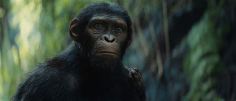 Harkins Theatres | Prescott Valley 14