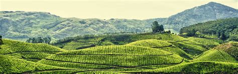 Sightseeing in Meghalaya - Be An Explorer