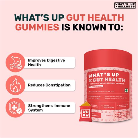 Gut Health Gummies - Probiotic Supplements for Men & Women – What's Up ...