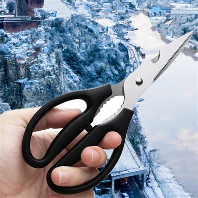 Image result for How to Sharpen Kitchen Scissors