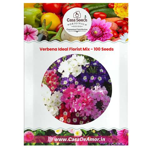 Verbena Ideal Florist Mix - 100 Seeds – Casa De Amor