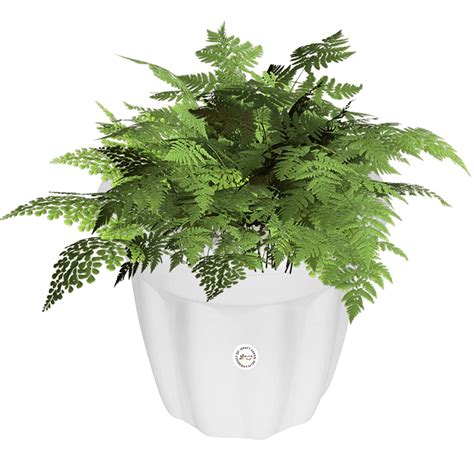 Kraft Seeds Planter Bold Victoria Mini Nursery Pots Round Solid Look ...