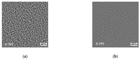 A Core Flood and Microfluidics Investigation of Nanocellulose as a ...