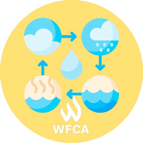 How do Wildfires Affect the Water Cycle? | WFCA