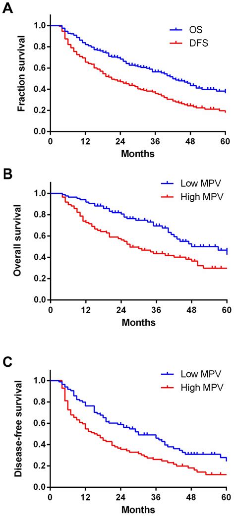 What Does High Mpv Mean at Robert Sandoval blog
