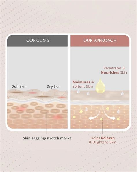 Best Post Natal Massage Oil With Herbs & Natural Oils – AreoVeda