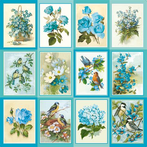 Paper Pack 12In X 12In Aqua Medley,250 gsm 12Sheets – Itsy Bitsy