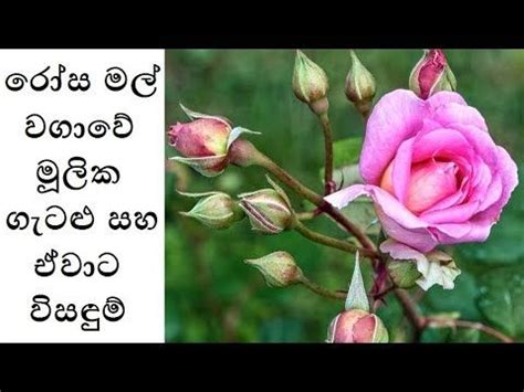 Image result for Spring JPA Methods