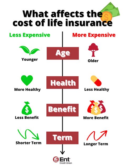 Life Insurance Explained 的图像结果