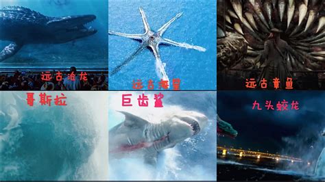 沧龙图片巨齿鲨,简笔画,对比_大山谷图库