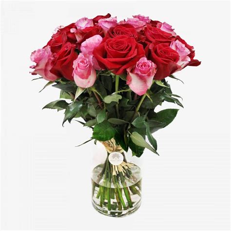 25 Red and Pink Roses - Flower Shop Lilac