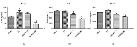 Post-Ischemic Treatment of Recombinant Human Secretory Leukocyte ...