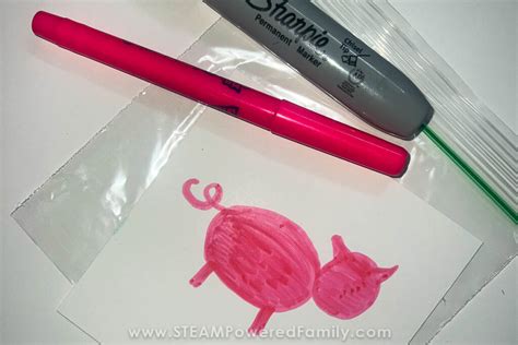 Image result for Example of Refraction of Light