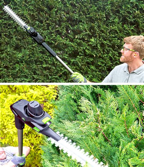 Pole Hedge Trimmers Best Electric, Extendable, Long Reach Picks ...