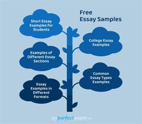 Image result for Example of a Good Essay