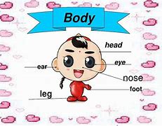 Image result for body 主体