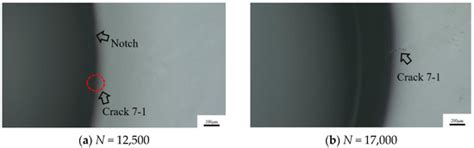 Metals | Special Issue : Fatigue Damage Mechanism and Fatigue Life ...