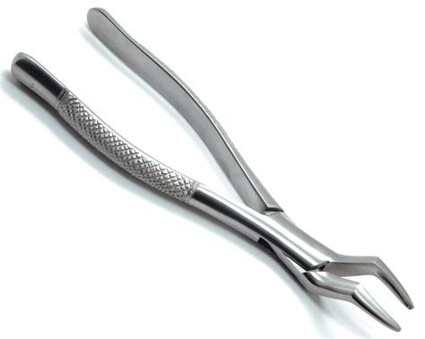 Buy Extraction Forceps 65 Upper Incisors alveolar Teeth Dental Surgical ...
