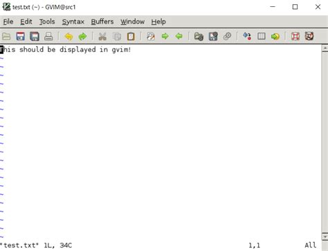Notepad++ Vscode 的图像结果