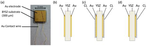 Periodically Pulsed Polarization Gas Sensors Based on Au|YSZ: Mechanism ...