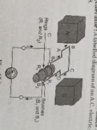 Explain AC generator with the help of a neat labelled diagram ...