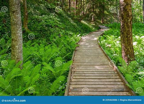 Quién escribió "Caminante, no hay camino" y qué significa su mensaje