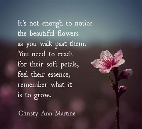 Nature quotes - Appreciation poems - quote - flowers - gratitude - life ...