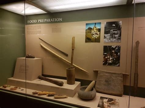 Indigenous Food Preparation Tools That Shaped Culinary History