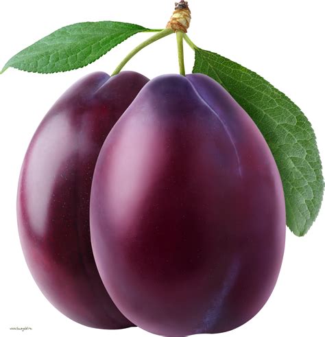 Plum 的图像结果