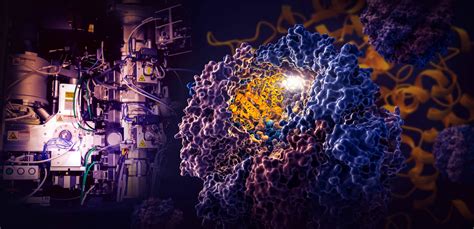 Researchers discover how a nano-chamber in the cell directs protein folding