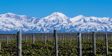 Argentina Agriculture 的图像结果