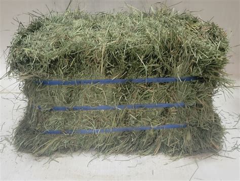 Hay – Alaska Farm Supply