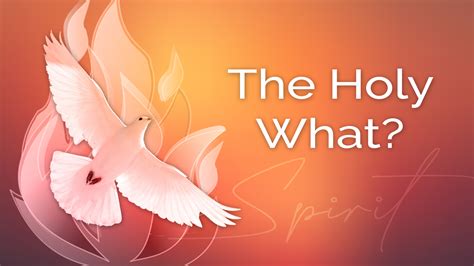 The Holy What - True North Church