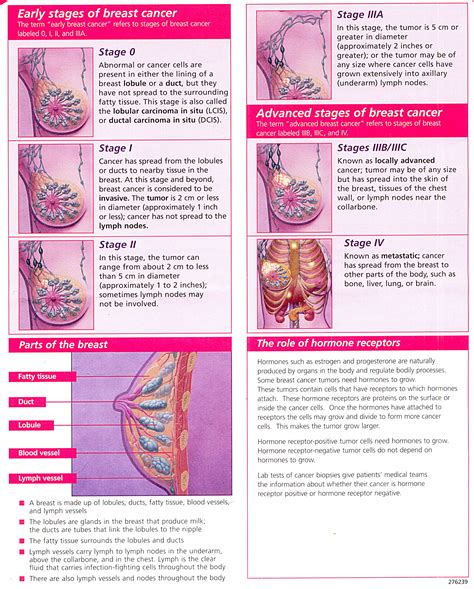 A Visual Guide To Breast Cancer: Pictures Of Symptoms – Limmerkoll