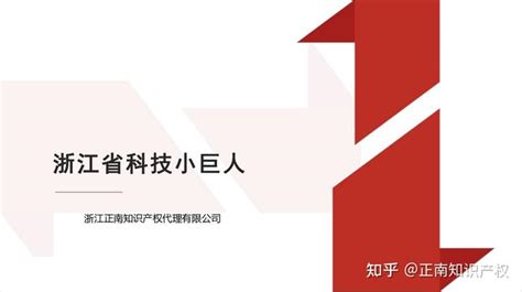 科技小巨人培育企业与科技小巨人企业申请_上海市企业服务云