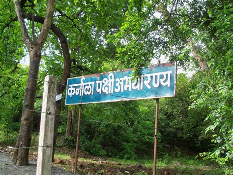 www.timetotravel.co.in: Karnala Bird Sanctuary - How to go, Things to do