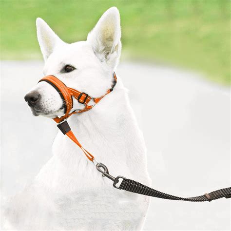 Dog Leashes for Training No Pull Head with Soft Padding Heavy Duty ...