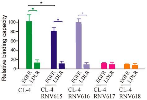 Efficient Epidermal Growth Factor Receptor Targeting Oligonucleotide as ...