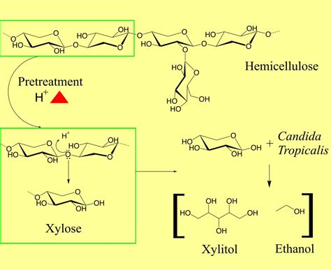Evaluation of the Simultaneous Production of Xylitol and Ethanol from ...