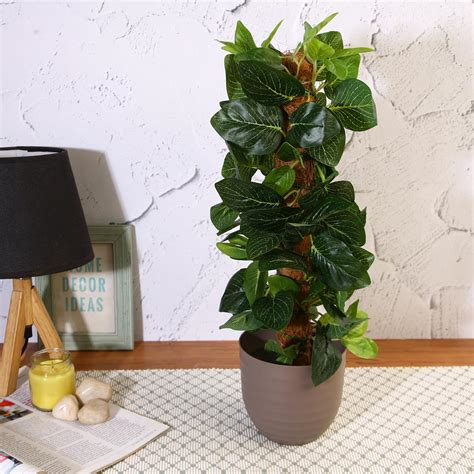 Buy Amazon Basics Artificial Climber Plant with Brown Plastic Pot ...