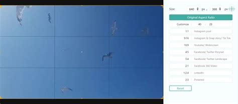 Top Online Video Croppers With No Watermark