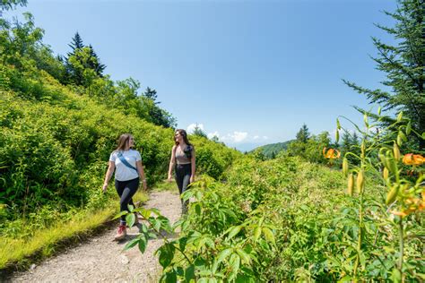 Hiking Trails in Jackson County, NC | Scenic Walks & Treks