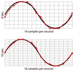 Microscopy Bit Depth 的图像结果