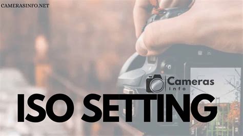 A Guide to ISO Setting on Camera for Better Photography