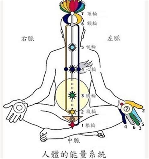 手掌穴位图片免费下载_手掌穴位素材_手掌穴位模板-图行天下素材网