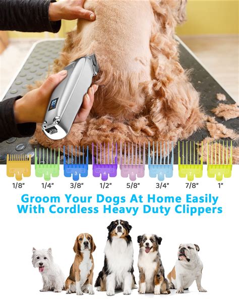 Grooming A Long Haired Dog With Clippers at Rita Eustice blog