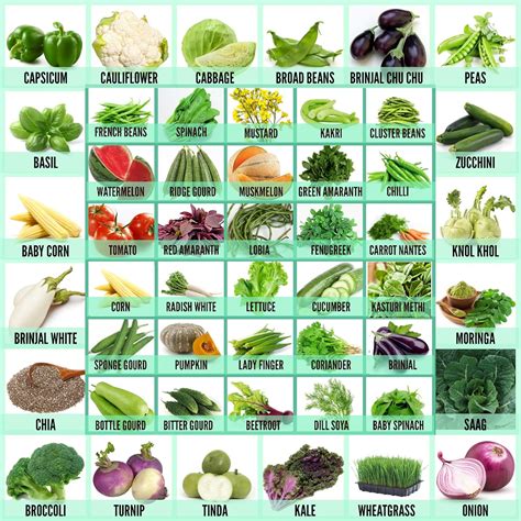 Leafy Tales 50 Varieties of Vegetable, Fruits & Herbs Seeds for Kitchen ...