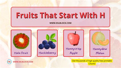 Fruits that start with G - English as a Second Language